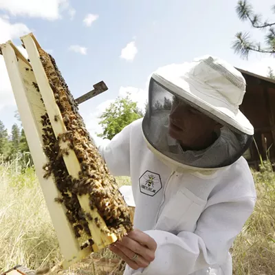 Image: HoneyLove Urban Beekeepers