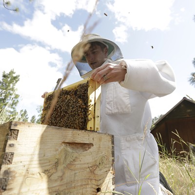 HoneyLove Urban Beekeepers