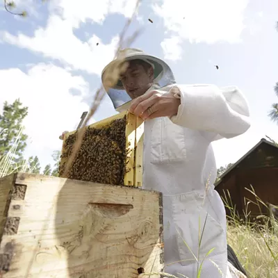 Image: HoneyLove Urban Beekeepers