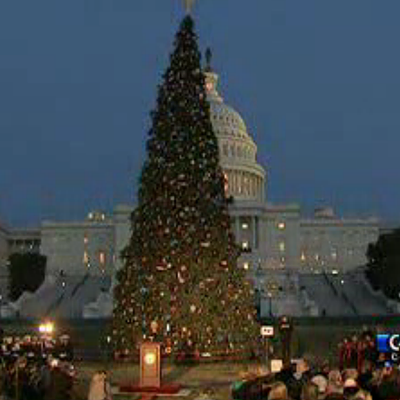 Watch the Capitol Christmas Tree lighting ceremony