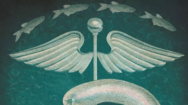 Image: We Can Learn about Cancer from Fish and Worms