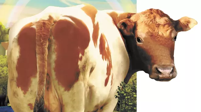 Image: We Can Turn Cow Pies Into Plastic Wrap