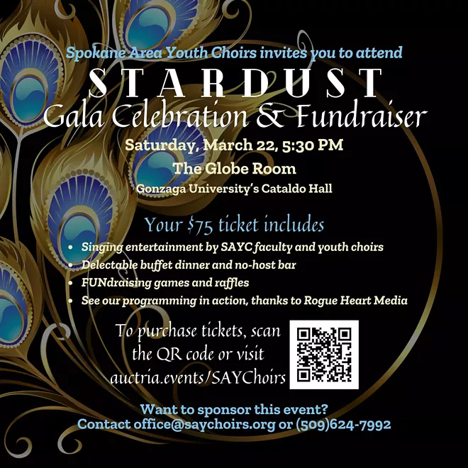 stardust_gala_celebration___fundraiser.webp