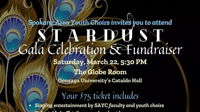 Image: 2nd Annual Stardust Gala Fundraiser