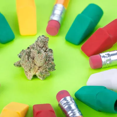 Image: A cannabis educator gives advice for people considering cannabis certificate courses, including those offered at Gonzaga