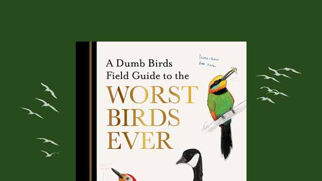 Image: Matt Kracht: A Dumb Birds Field Guide to the Worst Birds Ever