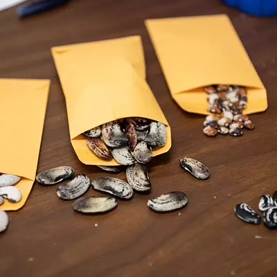 Image: A look inside Pullman's seed bank