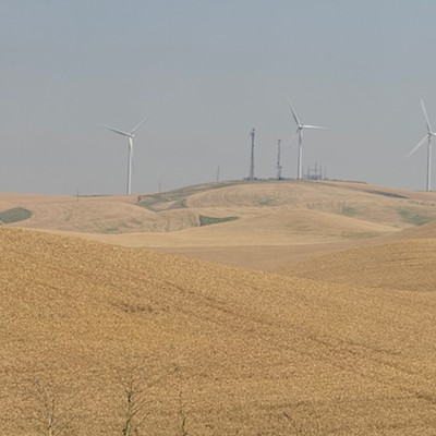 A proposed wind turbine project promises to bring jobs and tax revenue to the Palouse; some residents think the project has a turbulent future