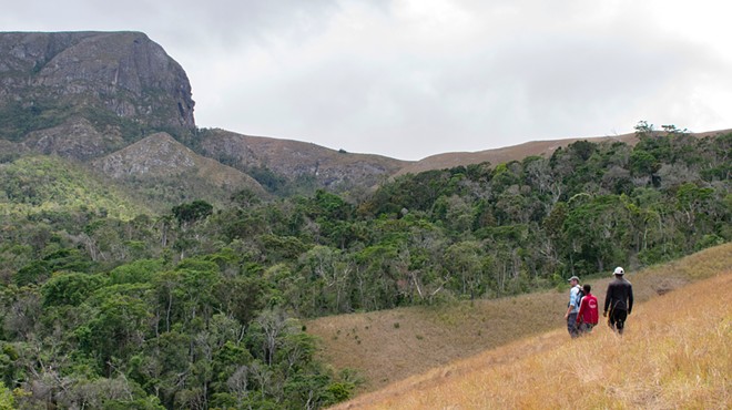 Image: A Pullman-based conservation organization is helping preserve habitat for a rare-yet-pungent Madagascar spice