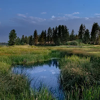 Image: A quick drive from downtown Spokane, Turnbull National Wildlife Refuge makes it easy to reconnect with the wild