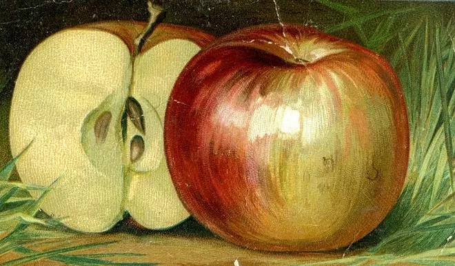 Apple advertising card