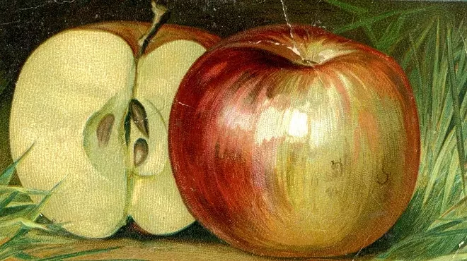 Image: Advertising Washington Apples