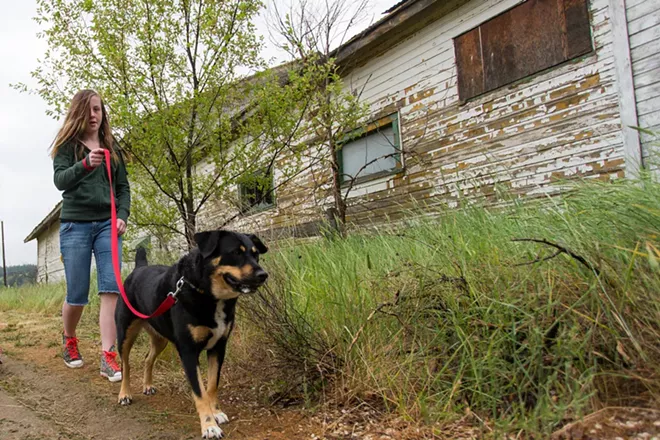 PHOTOS: Parade of Paws