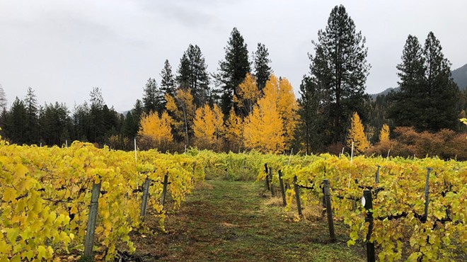 Ancient Sumerian wisdom and 1960s vibes combine at China Bend Winery