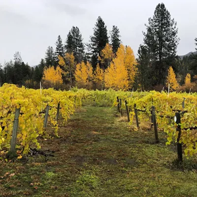 Image: Ancient Sumerian wisdom and 1960s vibes combine at China Bend Winery