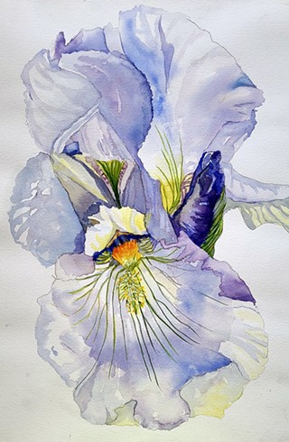Beginning Watercolor with Janie Edwards