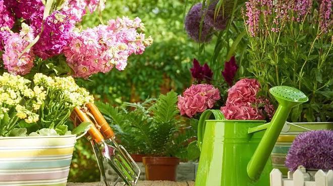 Image: Cabin Fever Virtual Gardening Symposium: Gardening Now & For the Future