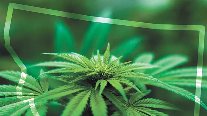 Image: Cannabis activists think they have a good shot at legalization in the Big Sky State in 2020
