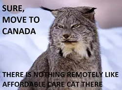CAT FRIDAY: A few awesome cat-related Tumblrs
