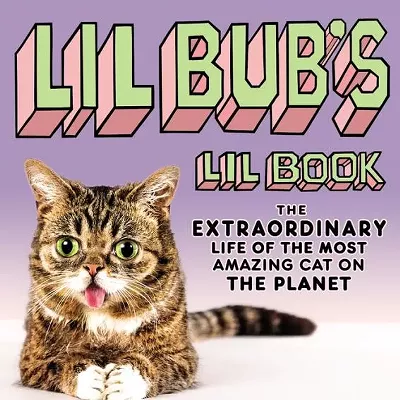 Image: CAT FRIDAY: Entrepreneur cats, a Monday special edition