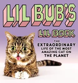 CAT FRIDAY: Entrepreneur cats, a Monday special edition