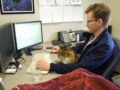 CAT FRIDAY: Meet Design Spike's part-time office cat, Maddie