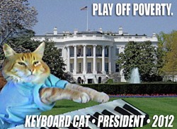 CAT FRIDAY Part 2: Vote for Keyboard Cat