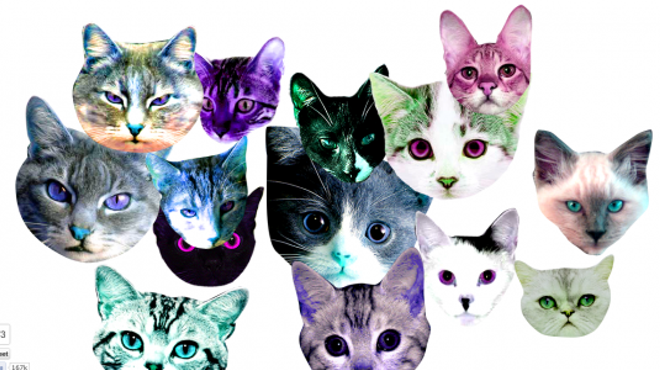 Image: CAT FRIDAY: ProCATstination 101