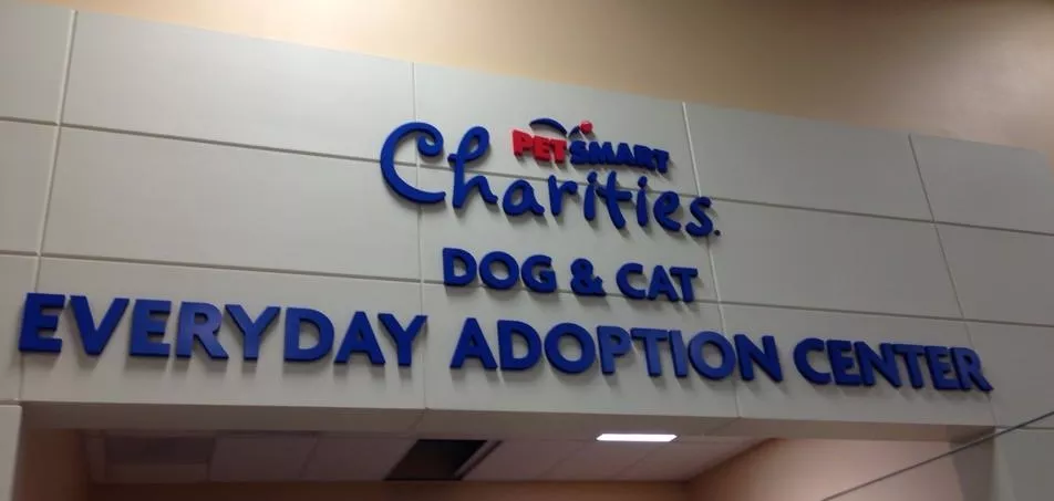 Everyday store adoption center