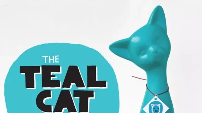 Image: CAT FRIDAY: The Teal Cat Project is kitty cause you should know about