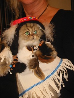 CAT FRIDAY: These cats are ready for Halloween. Are you?