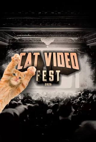 Image: CatVideoFest