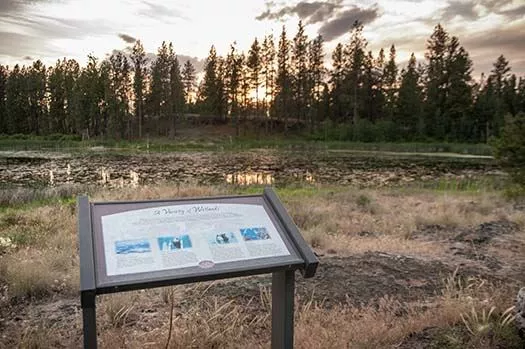 columbia_plateau_trail.webp