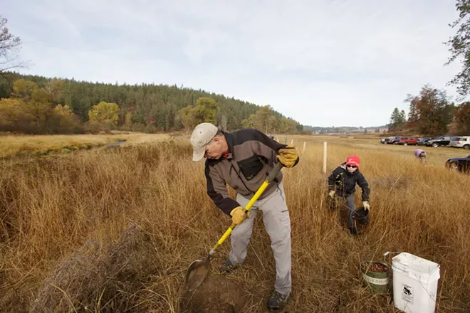 Photos from Reforest Spokane Day