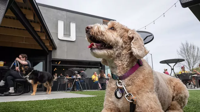 Image: Check out these 15 dog-friendly patios in and around Spokane