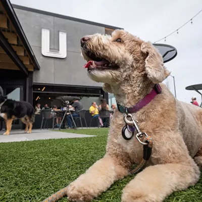 Image: Check out these 15 dog-friendly patios in and around Spokane