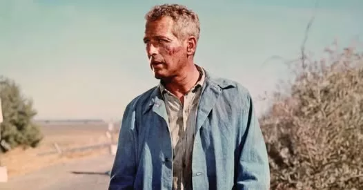luke.webp