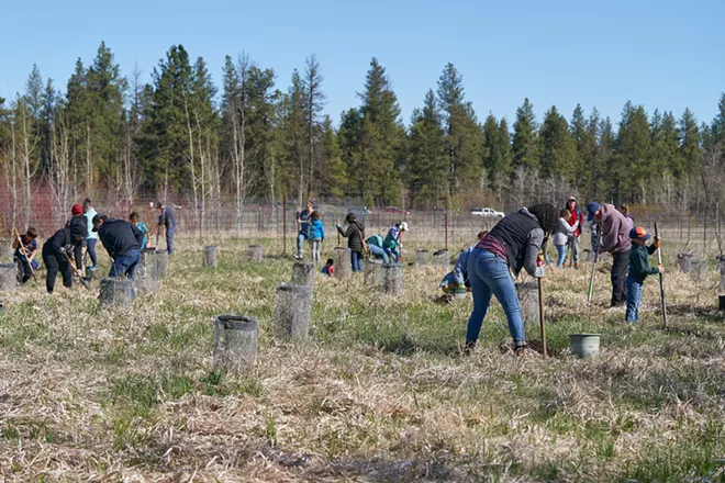 Tree planting at Turnbull NWR