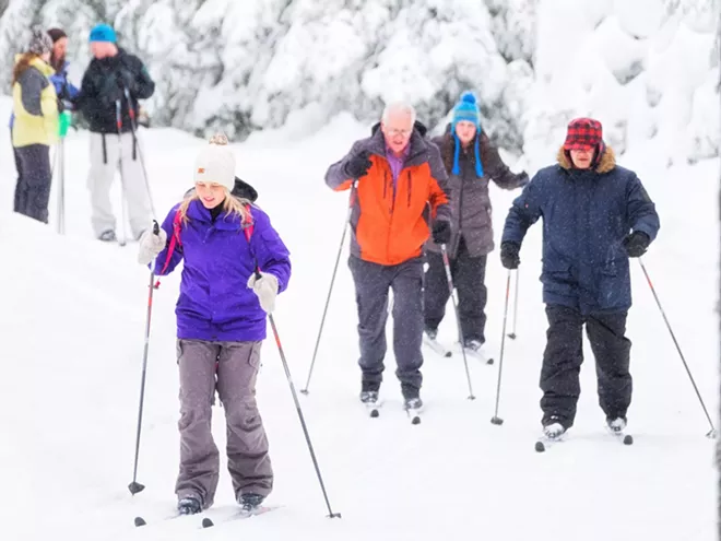 Group of people cross country skiing in a snowy forest.