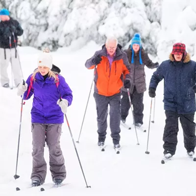 Image: Group of people cross country skiing in a snowy forest.