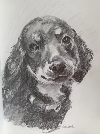 Image: Drawing Skills with Susan Rohrback