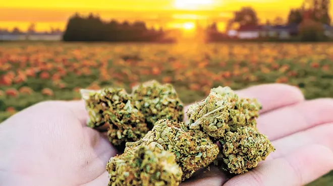 Image: Enjoy autumn with these seasonal cannabis products