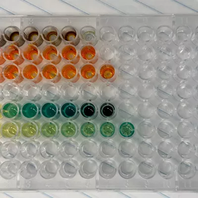 Image: EWU researchers seek to find the missing puzzle piece to help repair cells' housekeeper enzymes