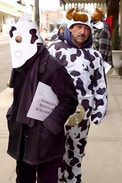 Farm workers protest working conditions, one wears bovine costume
