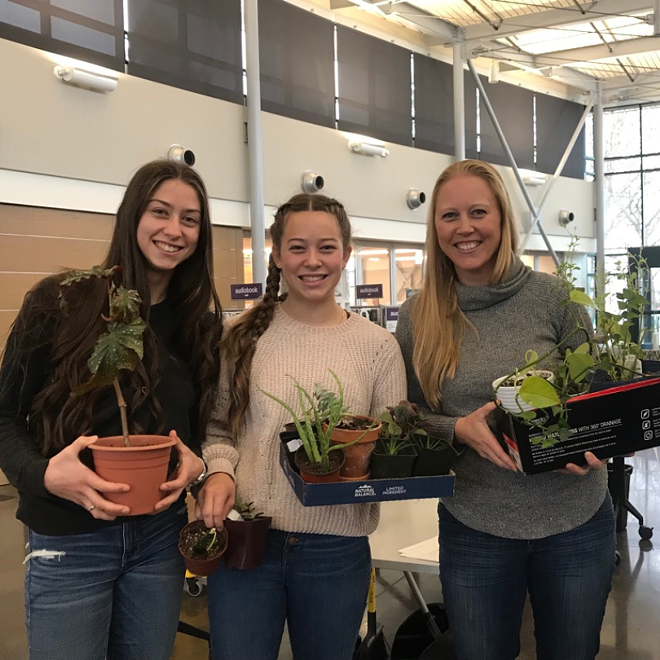 plant_swap_spring.png
