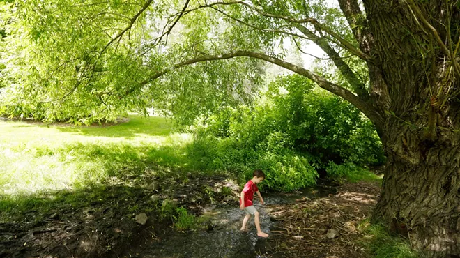 Image: Get closer to nature by identifying trees around the Inland Northwest