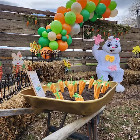 High Country Orchard Easter Egg Hunt