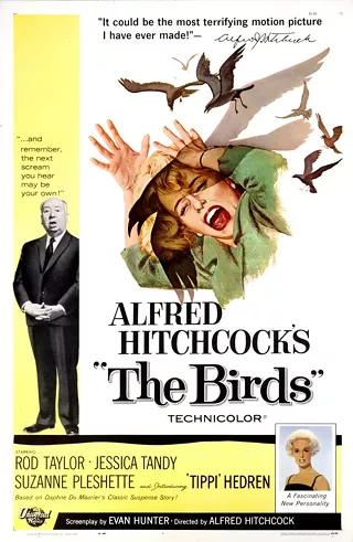 Image: Hitchcock Fest: The Birds