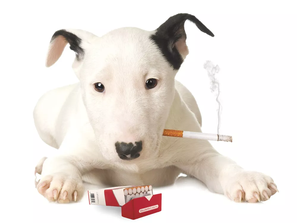 Ethics, Cigarettes and Abortion