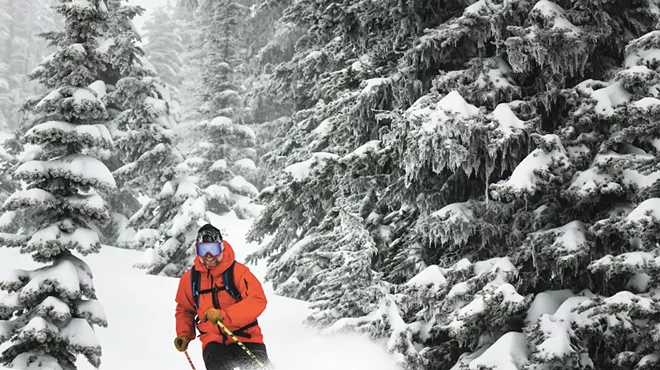 Image: If you seek out the comforting embrace of our wooden chaperones of the high country, you will learn the secrets of tree skiing in the INW